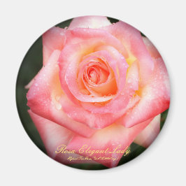Rosa Elegant Lady:Round Magnet