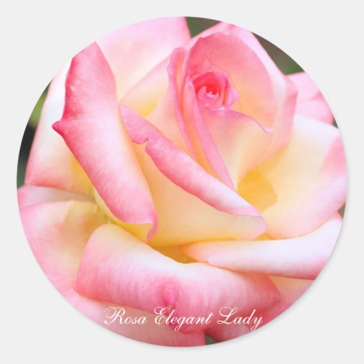 Rosa Elegant Lady [Round Seal] Runder Aufkleber (Vorderseite)
