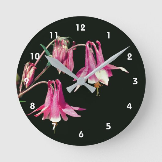 Rosa Elfenblume Runde Wanduhr (Vorderseite)