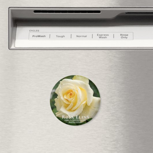 Rosa Elina Magnet (In Situ (Geschirrspüler))