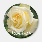 Rosa Elina Magnet (Vorne)