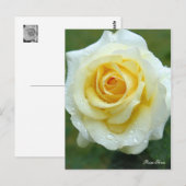 Rosa Elina [Postkarte] Postkarte (Vorne/Hinten)
