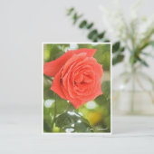 Rosa Emanuel Postkarte (Stehend Vorderseite)