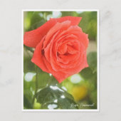 Rosa Emanuel Postkarte (Vorderseite)