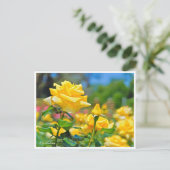 Rosa Emblem Postkarte (Stehend Vorderseite)