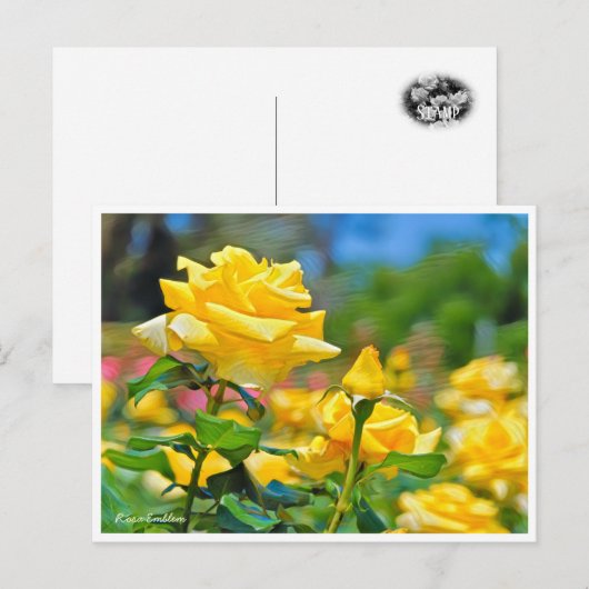 Rosa Emblem Postkarte (Vorne/Hinten)