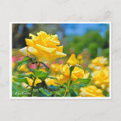 Rosa Emblem Postkarte (Vorderseite)