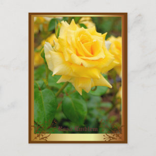 Rosa Emblem [Postkarte] Postkarte