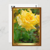 Rosa Emblem [Postkarte] Postkarte (Vorne/Hinten)