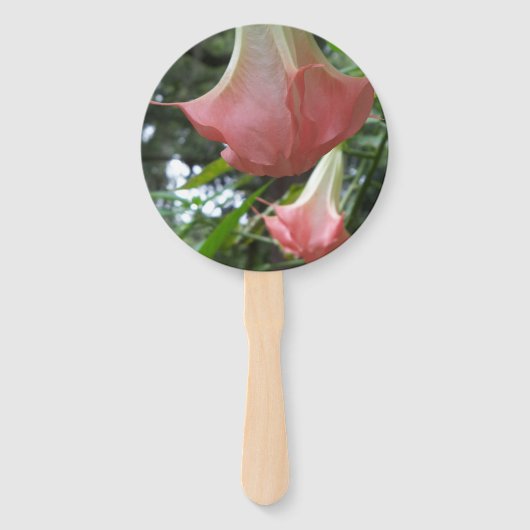 Rosa Engel Trompete Blume Fächer (Vorderseite)