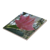 Rosa Engel Trompete Blume Fliese (Seite)