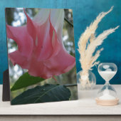 Rosa Engel Trompete Blume Fotoplatte (Seite)