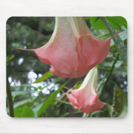 Rosa Engel Trompete Blume Mousepad