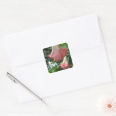 Rosa Engel Trompete Blume Quadratischer Aufkleber (Umschlag)