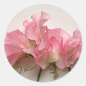 Rosa Erbsen nah Runder Aufkleber (Vorderseite)