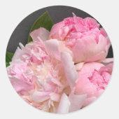 Rosa Erdbäume auf dunkelgrau Runder Aufkleber (Vorderseite)