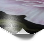 Rosa Erdnüsse Fotodruck (Ecke)
