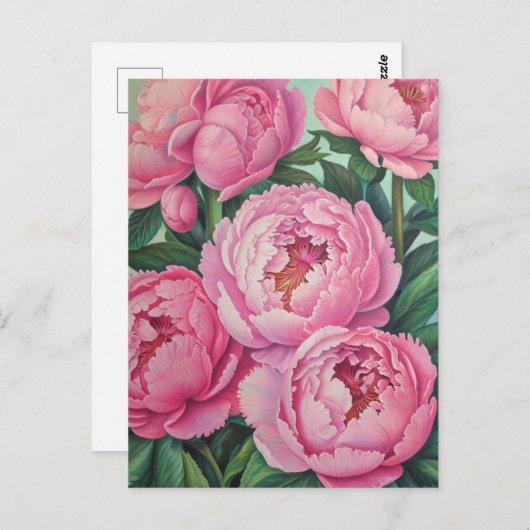 Rosa Erdnüsse Postkarte (Vorne/Hinten)