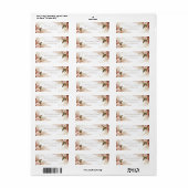 Rosa errötende Dahlie Gold Stardust Botanisch (Vorne)