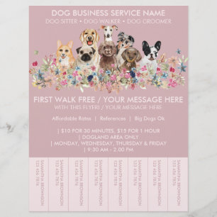 Rosa Errötungszucht Hunde Spaziergänger Budget Tic Flyer