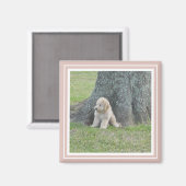 Rosa Erstellen Sie Ihr eigenes Personalisiertes Fo Magnet (Vorderseite/Rückseite)