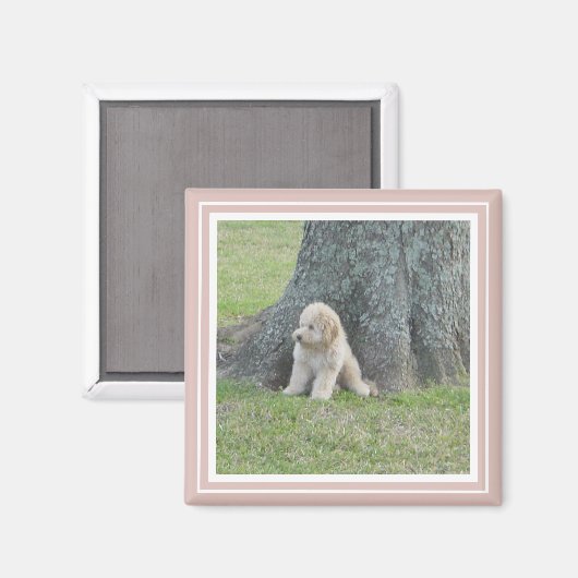 Rosa Erstellen Sie Ihr eigenes Personalisiertes Fo Magnet (Vorderseite/Rückseite)