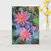 Rosa exotische Blüten-Pflanzen-Gruß-Karte Karte (Gelbe Blume)