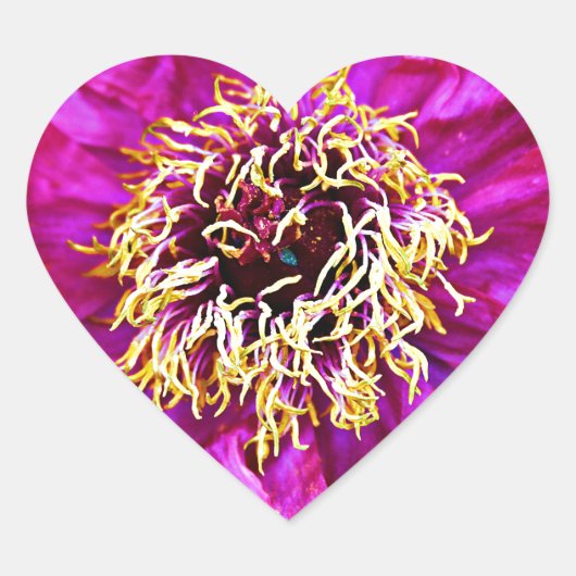 Rosa Explosion Herz-Aufkleber (Vorderseite)