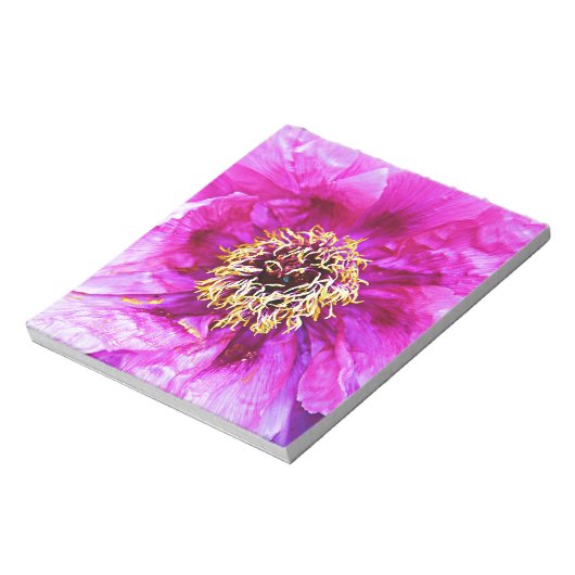 Rosa Explosion Notizblock (Rotiert)