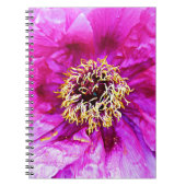 Rosa Explosion Notizblock (Vorderseite)