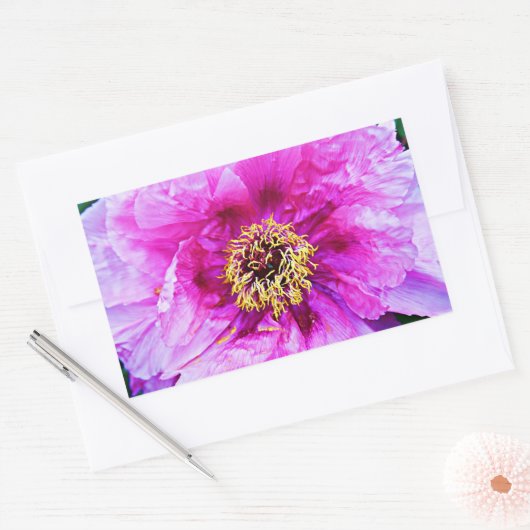 Rosa Explosion Rechteckiger Aufkleber (Umschlag)