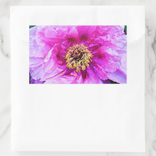 Rosa Explosion Rechteckiger Aufkleber (Tasche)