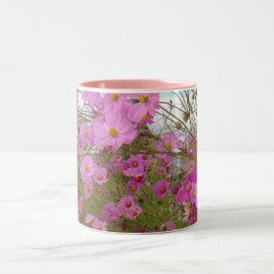 Rosa extravagantes 1 zweifarbige tasse