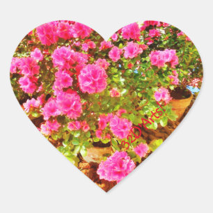 Rosa Extravaganza, Aufkleber des Herzens, Glossy