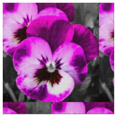 Rosa fabelhafter Pansy Stoff (Nahaufnahme)