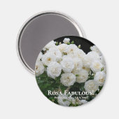 Rosa Fabulous! Magnet (Vorderseite/Rückseite)