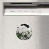 Rosa Fabulous! Magnet (In Situ (Geschirrspüler))