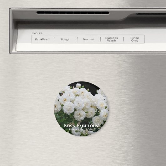 Rosa Fabulous! Magnet (In Situ (Geschirrspüler))