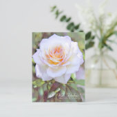 Rosa Fabulous! [Postcard] Postkarte (Stehend Vorderseite)