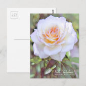 Rosa Fabulous! [Postcard] Postkarte (Vorne/Hinten)