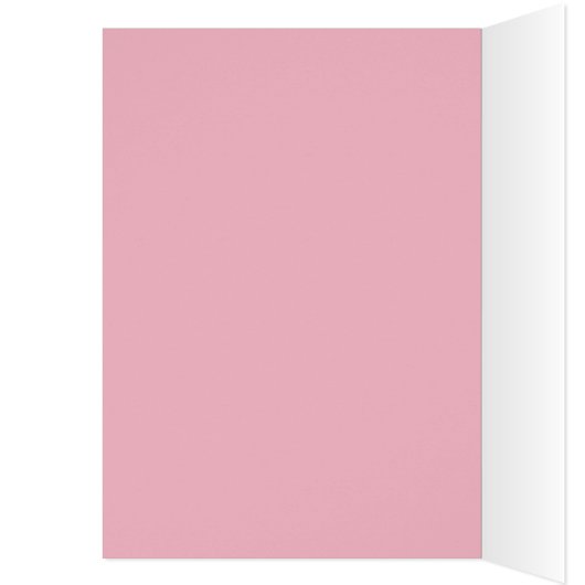 Rosa Fahrrad (Innen (Links))