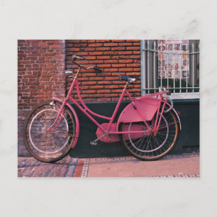 Rosa Fahrrad gegen Brillenwand Postkarte