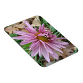 Rosa Farbe Magnet (Rechte Seite)