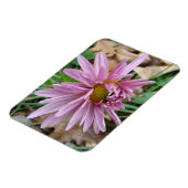 Rosa Farbe Magnet (Linke Seite)