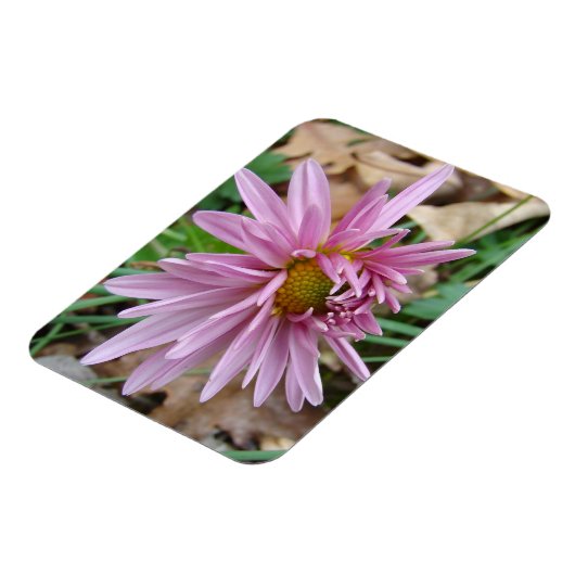 Rosa Farbe Magnet (Linke Seite)