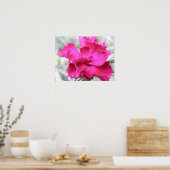 rosa Farbe Poster (Küche)