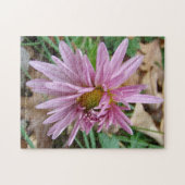 Rosa Farbe! Puzzle (Horizontal)