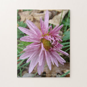Rosa Farbe! Puzzle