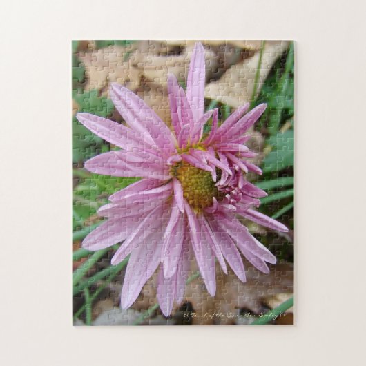 Rosa Farbe! Puzzle (Vertikal)