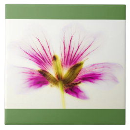 Rosa Feather Blume Tile Fliese
